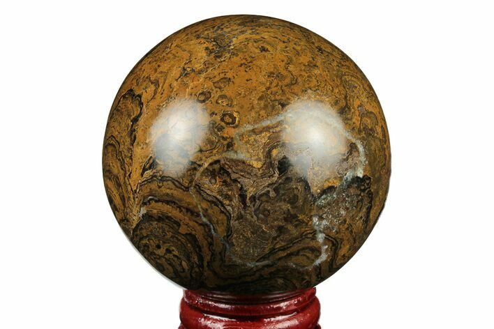 2.3" Polished Stromatolite (Greysonia) Sphere - Bolivia